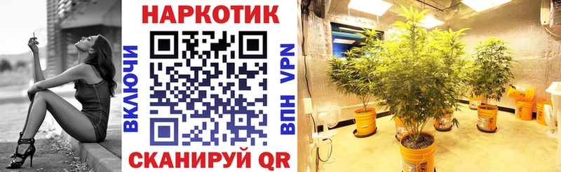 Купить наркоту Невьянск Бошки Шишки  ТГК  ГАШ  СК  Амфетамин  Меф  COCAIN 