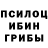 Галлюциногенные грибы Psilocybe Edevi