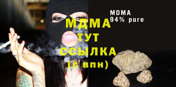 сатива Козельск