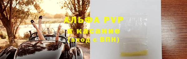 сатива Козельск
