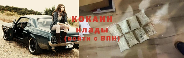 сатива Козельск