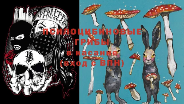 PSILOCYBIN Володарск
