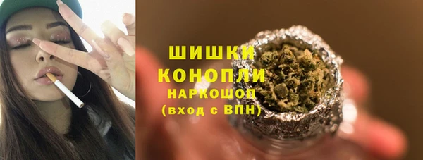 сатива Козельск