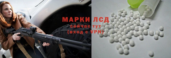 сатива Козельск