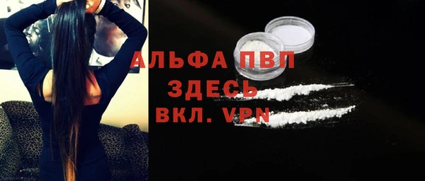 сатива Козельск