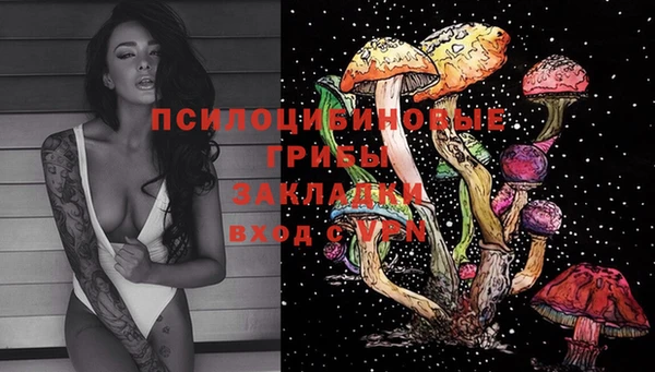 PSILOCYBIN Володарск