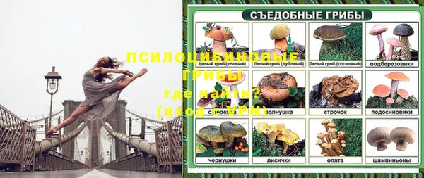 сатива Козельск