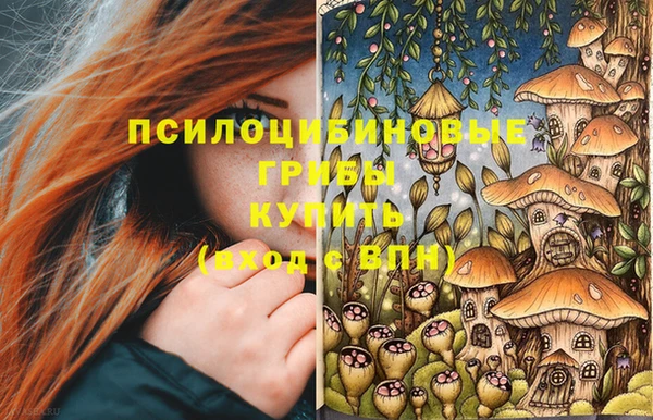 прущая мука Кодинск