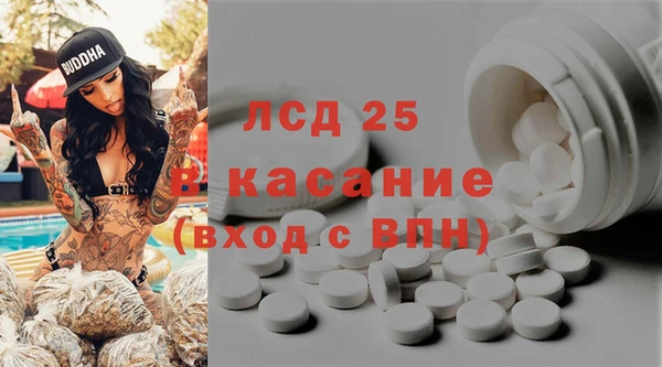 сатива Козельск