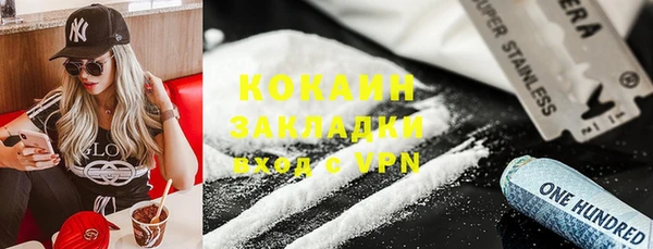 сатива Козельск