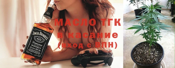 сатива Козельск