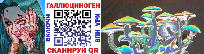 Галлюциногенные грибы Psilocybe  Невьянск 